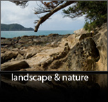 landscape & nature
